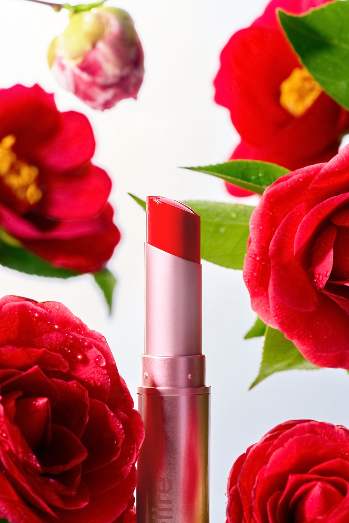 Cellre Colour in Balm 4g
