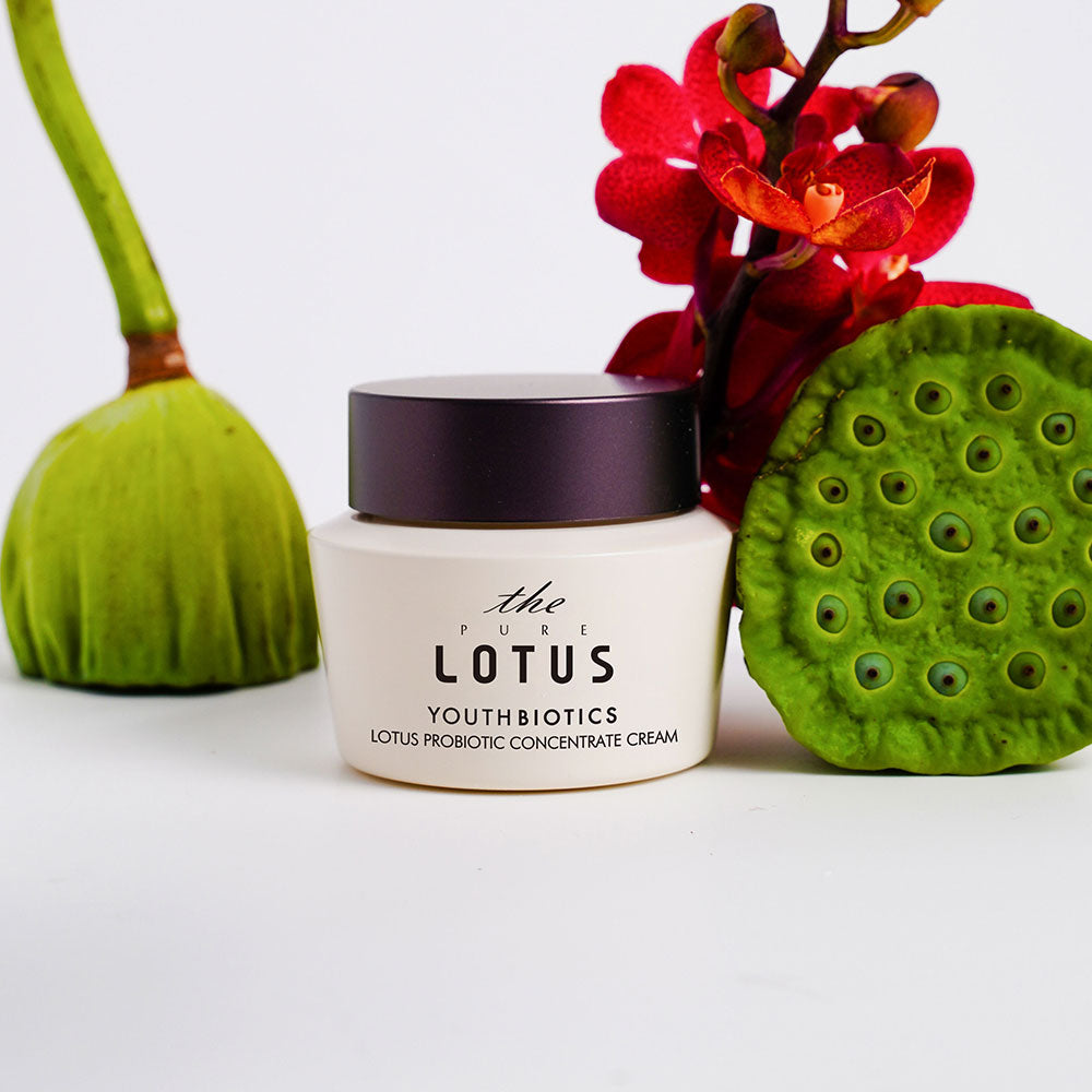 Lotus Probiotic Concentrate Cream 50ml